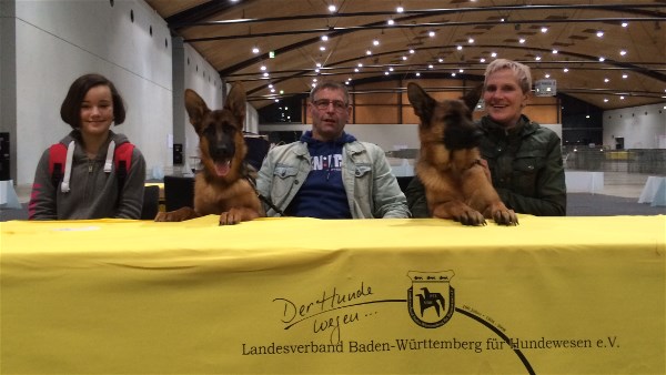 Texas German Shepherd Breeders AKC SV World Class Elite Pups Direct from Germany
